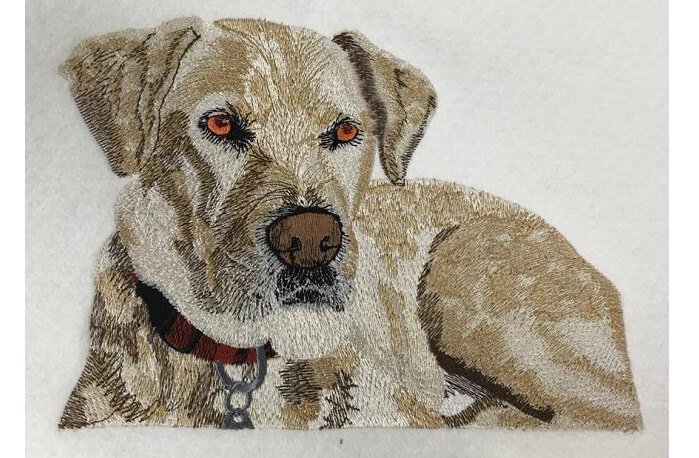 Embroidery Digitizing